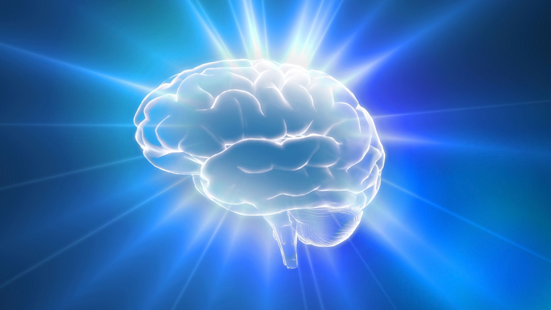 The Blood Brain Barrier And Its Role In Neurodegenerative Diseases